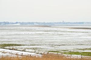 ein schneebedecktes Feld mit Gras und Unkraut in der Unterkunft Fesker 5 in Morsum