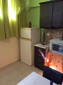 Kuchyň nebo kuchyňský kout v ubytování Modern Basement Apartment Gio Ii