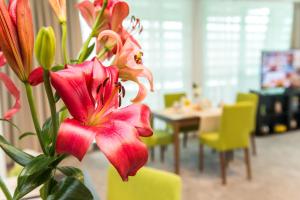 eine Vase mit einer roten Blume in einem Raum in der Unterkunft Earth & People Hotel & SPA - Free Parking in Sofia