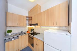 Kuchyňa alebo kuchynka v ubytovaní Apartment Labská 108 Špindlerův MLýn