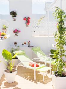 A garden outside Summerland Apartments Rota