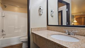 Koupelna v ubytování Best Western Regency Inn & Suites