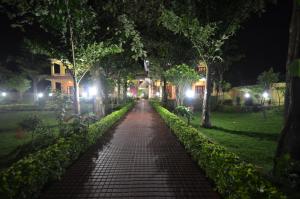 Vrt pred nastanitvijo Hotel Rainforest