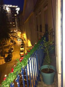 a plant in a pot on a balcony with christmas lights at Central Lisbon Classic Apartment in Lisbon