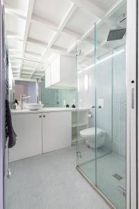 une salle de bain avec une douche en verre et des toilettes dans l'établissement Magnificent Loft - very central, à Nice