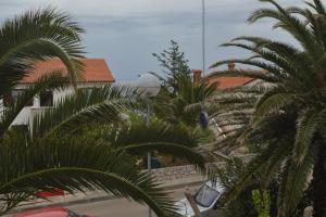 Fotografia z galérie ubytovania Apartment with garden - Ana 1 v Mali Lošinj