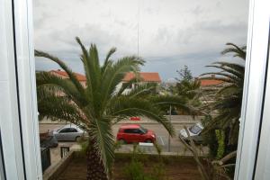 Fotografia z galérie ubytovania Apartment with garden - Ana 1 v Mali Lošinj