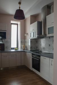 Kuchyň nebo kuchyňský kout v ubytování Apartament Premium Delux
