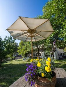 Zahrada ubytování Gasthof Zur Sonne