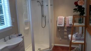 a bathroom with a shower and a toilet and a sink at Rose Cottage B&B in Richmond
