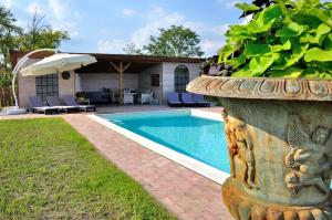 The swimming pool at or close to Tisza Topic