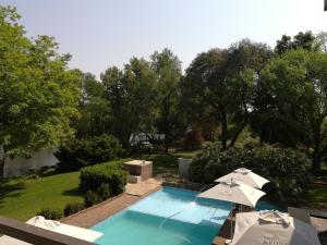 a swimming pool with umbrellas in a garden at Willow Banks Lodge in Parys