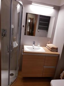 a bathroom with a sink and a shower at Apartament Jelen'iowska in Kielce