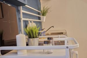 a shelf with plants on it next to a sink at ONYX Apartment in Budapest