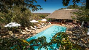 Bazén v ubytování Nyati Safari Lodge nebo v jeho okolí