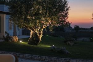 a tree in the yard of a house with a sunset at Villa del Vento in Polignano a Mare +91 photos
