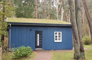 a blue shed with a grass roof and a door at chalet Zingst in Zingst