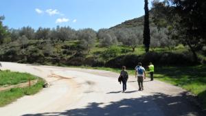 Príroda v okolí hotela