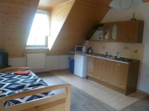 Kuchyň nebo kuchyňský kout v ubytování Apartmany Kolb Ramzová
