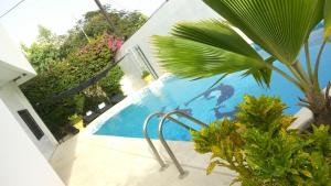 a pool with a chair next to a palm tree at Villa Massilia in Saly Portudal