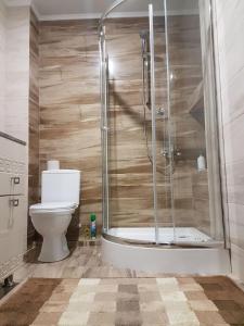 a bathroom with a shower and a toilet at Russo in Chişinău
