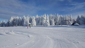 un groupe de personnes skier sur une piste enneigée dans l'établissement Rogla app Jerebika 11, à Zreče