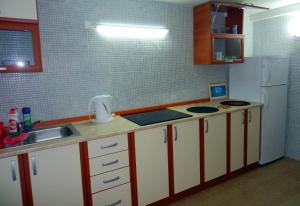 Kuchyň nebo kuchyňský kout v ubytování Apartments Vladilena