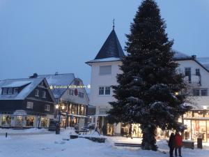ヴィンターベルクにあるWinterbergappartementen 27-10の白い建物前のクリスマスツリー