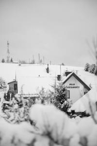 Apartamenty Maja v zimě