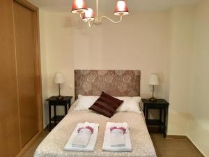 Postel nebo postele na pokoji v ubytování Apartamentos Rurales Flor De Lavanda