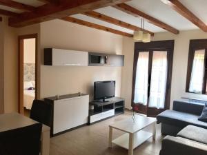 ein Wohnzimmer mit einem Sofa und einem TV in der Unterkunft Apartamentos Rurales Flor De Lavanda in Brihuega