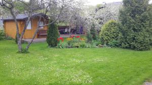 Zahrada ubytování Kaare Guesthouse