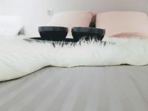een witte kat op een bed met twee kussens bij Central Sweet Home in Saint-Gervais-les-Bains