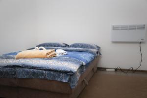 sypialnia z łóżkiem z poduszką i wentylatorem w obiekcie Comfort Inn Apartment 2 w mieście Novi Pazar