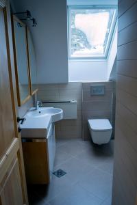 a bathroom with a sink and a toilet with a window at Apartmaji Lajf in Kranjska Gora +16 photos