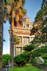 um grande edifício com palmeiras em frente em Wentworth Mansion em Charleston