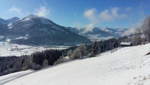 Reiterbauer Chalets & Ferienwohnungen during the winter
