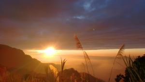 un tramonto in montagna con erba alta di Alishan Tea Homestay a Leye