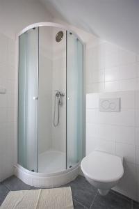 a bathroom with a glass shower with a toilet at Chata Kopanina in Klíčnov