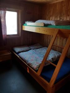 2 lits superposés dans une cabine avec fenêtre dans l'établissement Nybu Two-bedroom cottage, à Geilo
