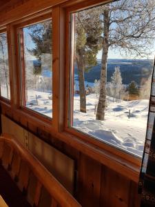 耶盧的住宿－Solstua Three-bedroom Cottage，窗户享有雪覆盖的庭院的景致。