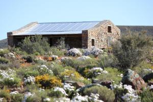 an old stone building with a field of flowers at Middelfontein Farm in Sutherland