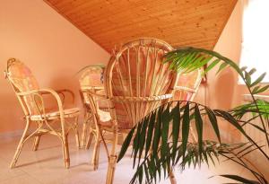 um grupo de cadeiras e uma planta num quarto em Hospedaje Pension Tabares em Zas