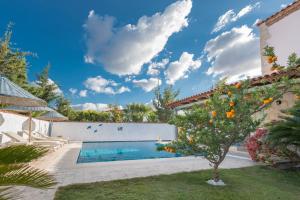 an orange tree in front of a swimming pool at Moy Hotel in Alaçatı