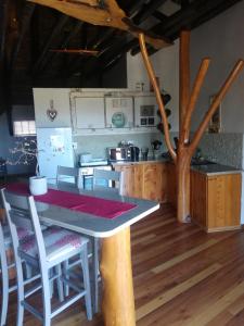 Kuchyň nebo kuchyňský kout v ubytování The Birdhouse Bed & Breakfast #NO Loadshedding #Solar Energy