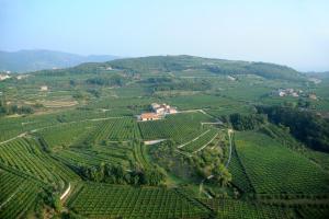 Galeriebild der Unterkunft Le Bignele in Marano di Valpolicella