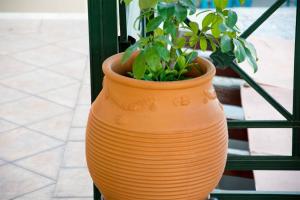 a large orange vase with a plant in it at Saint Catherine Hotel in Pythagoreio