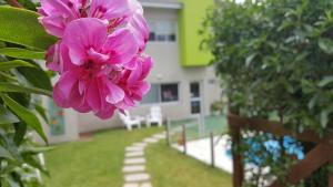 a pink flower in front of a building at Hostería Magnolia in Villa Gesell