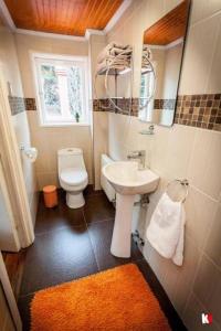 a bathroom with a toilet and a sink and a mirror at Innata Casa Hostal in Punta Arenas