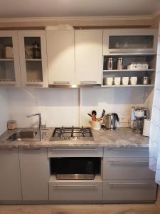 2 Bedroom Lux Apartments في ريغا: مطبخ مع مغسلة وموقد فرن علوي